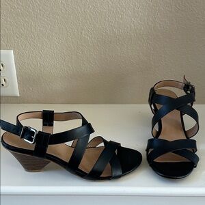 Abella Elegant Black Strappy Wedge Sandals